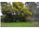 195 Holyoake Road, Dwellingup WA 6213