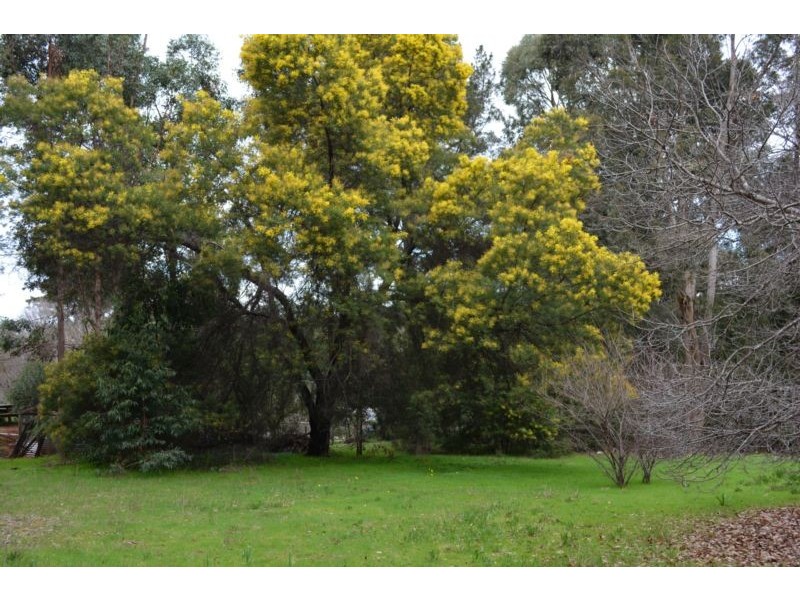 195 Holyoake Road, Dwellingup WA 6213