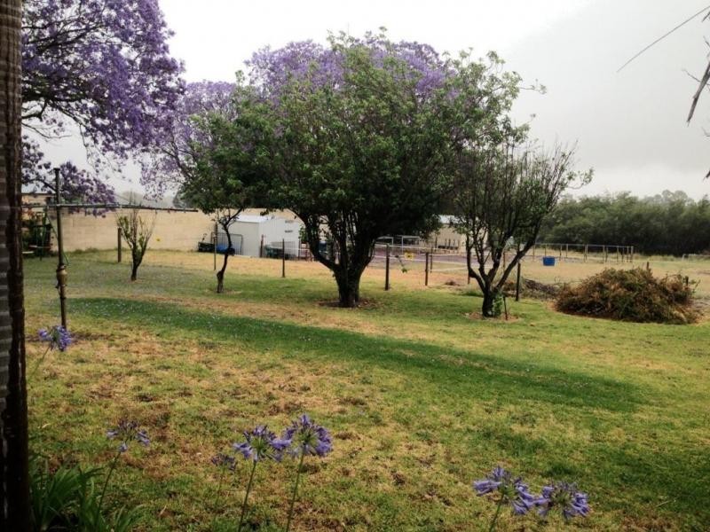 44 McDowell Street, Waroona WA 6215