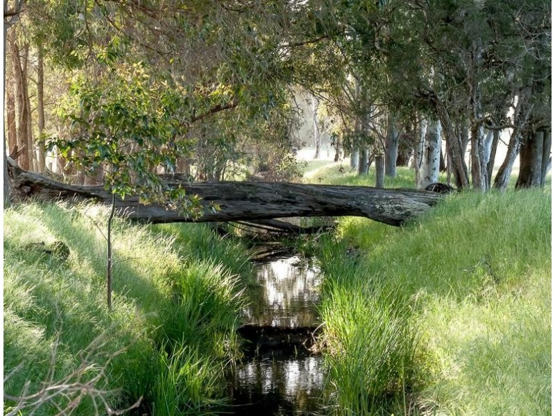 156 DALEY ROAD, West Pinjarra WA 6208