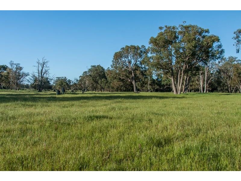 156 DALEY ROAD, West Pinjarra WA 6208