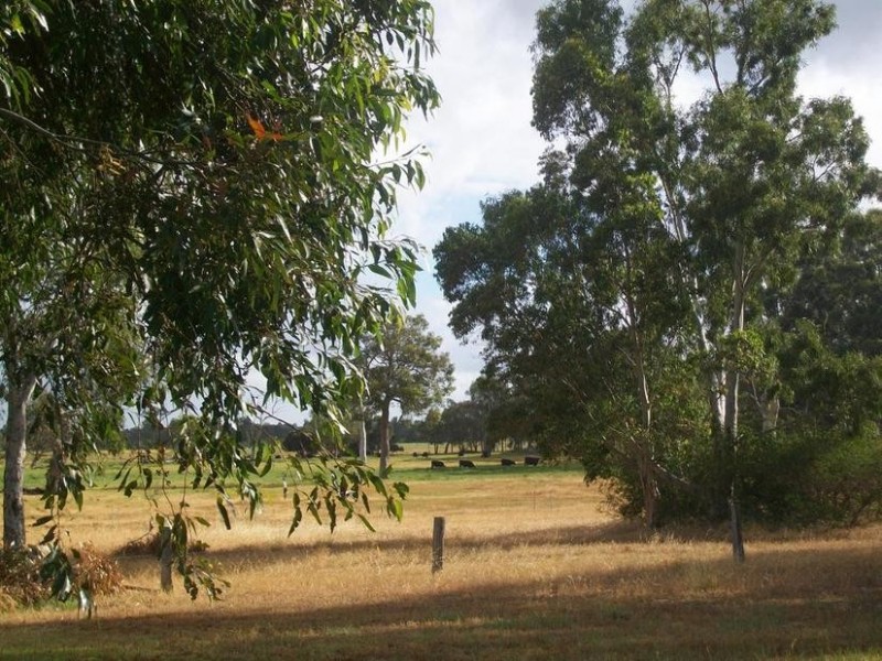 156 DALEY ROAD, West Pinjarra WA 6208