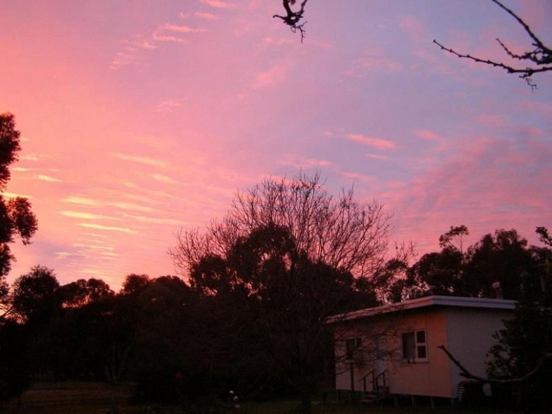 156 DALEY ROAD, West Pinjarra WA 6208