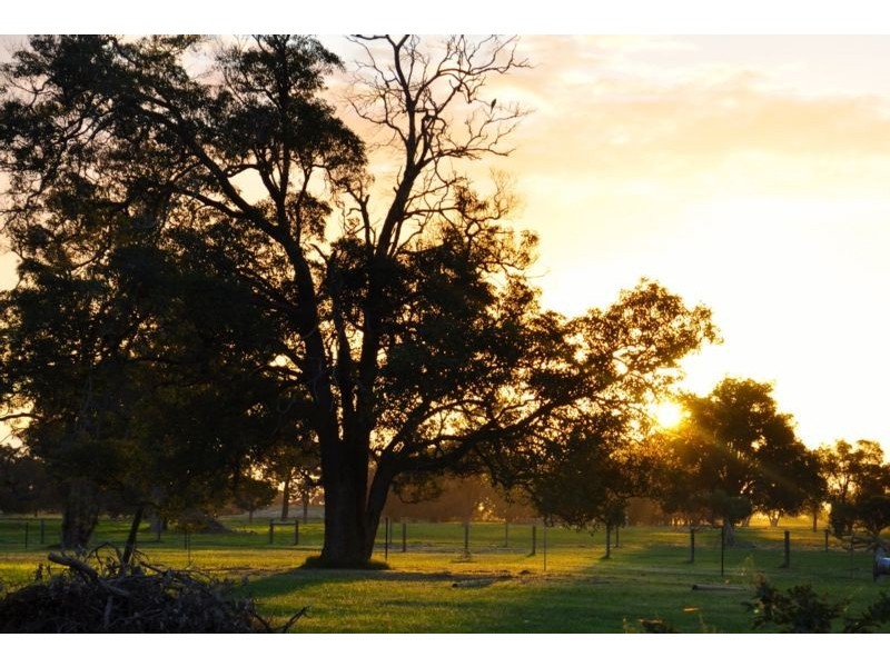 106 HANOVER WAY, West Pinjarra WA 6208