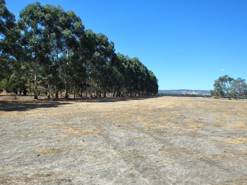 Lot 551 Pinjarra Williams Road, Meelon WA 6208