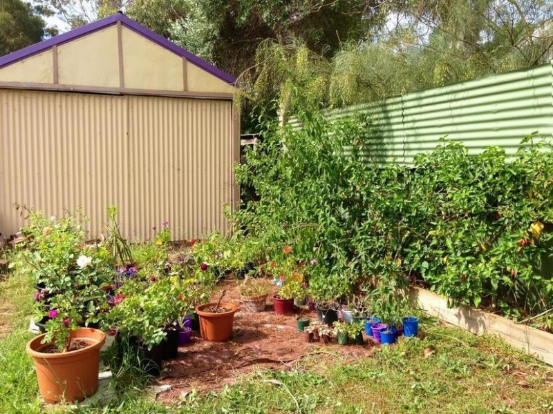 104 FOURACRE STREET, Waroona WA 6215