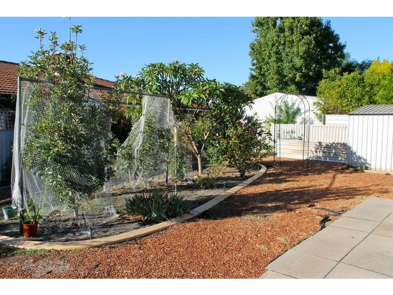 2 Peter Street, Pinjarra WA 6208