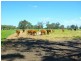 L20 SOUTH WEST HIGHWAY, Pinjarra WA 6208