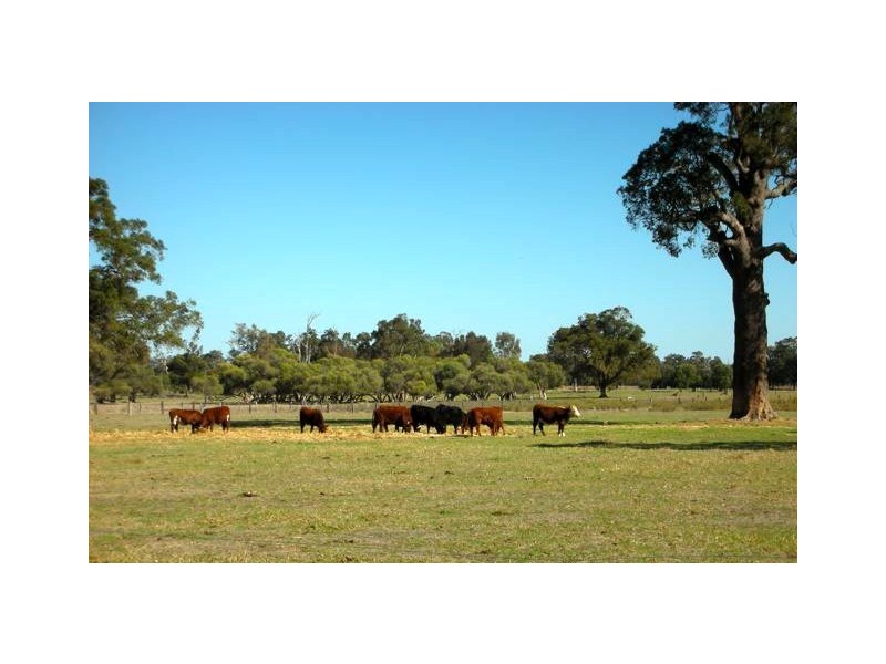 L20 SOUTH WEST HIGHWAY, Pinjarra WA 6208