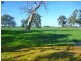 Lot 20 South West Highway, Pinjarra WA 6208