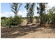 49 Old Williams Road, Dwellingup WA 6213
