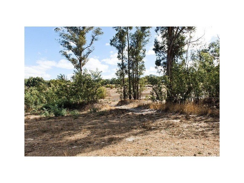 49 Old Williams Road, Dwellingup WA 6213