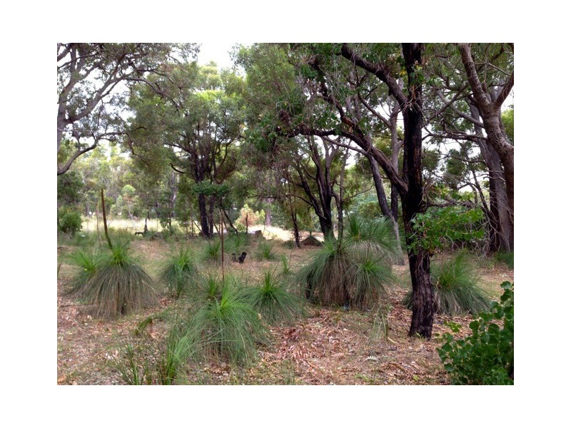 58 Lyons Road, Waroona WA 6215