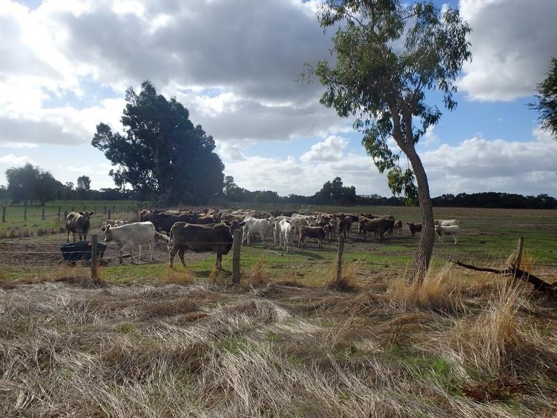 Lot 56 Fishermans/Keane Road, Coolup WA 6214