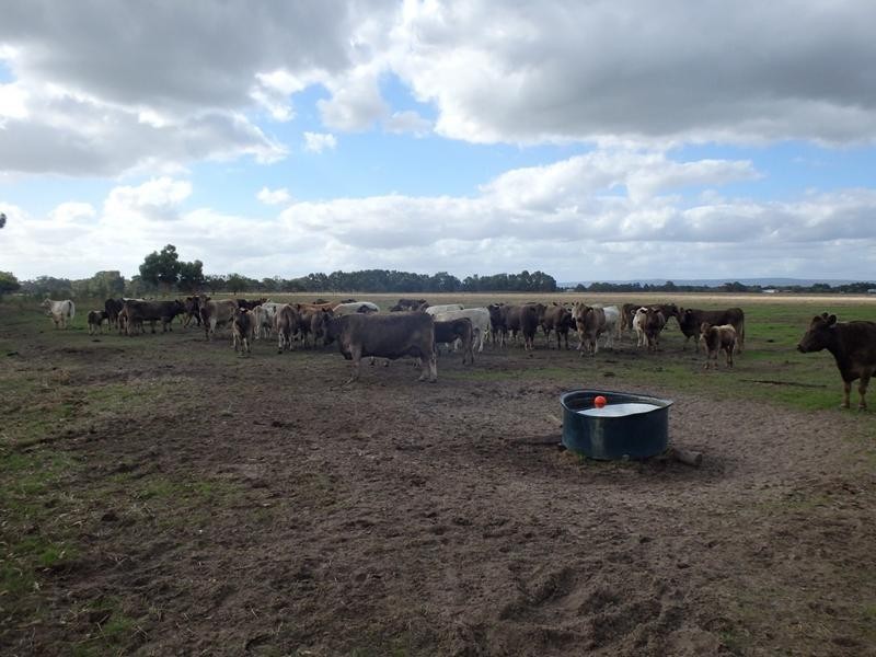 Lot 56 Fishermans/Keane Road, Coolup WA 6214