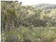 Lot 109 Littleton Rise, Boddington WA 6390