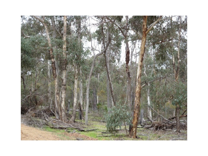 Lot 116 Sherry Close, Boddington WA 6390