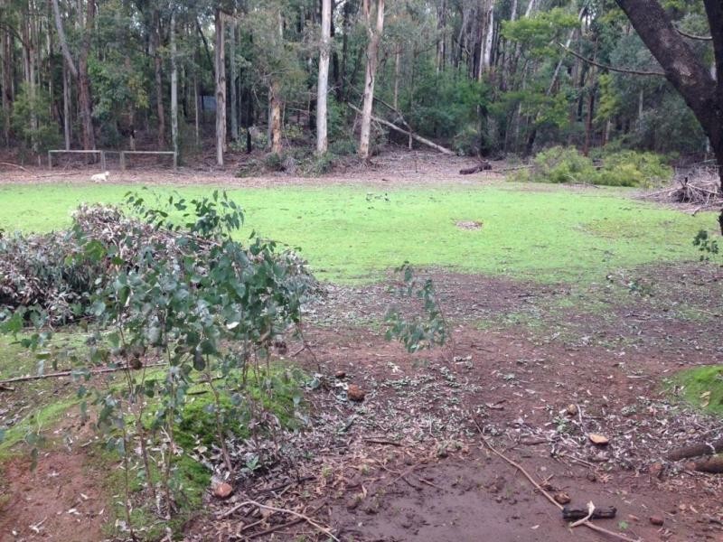 229 Batt Way, Dwellingup WA 6213