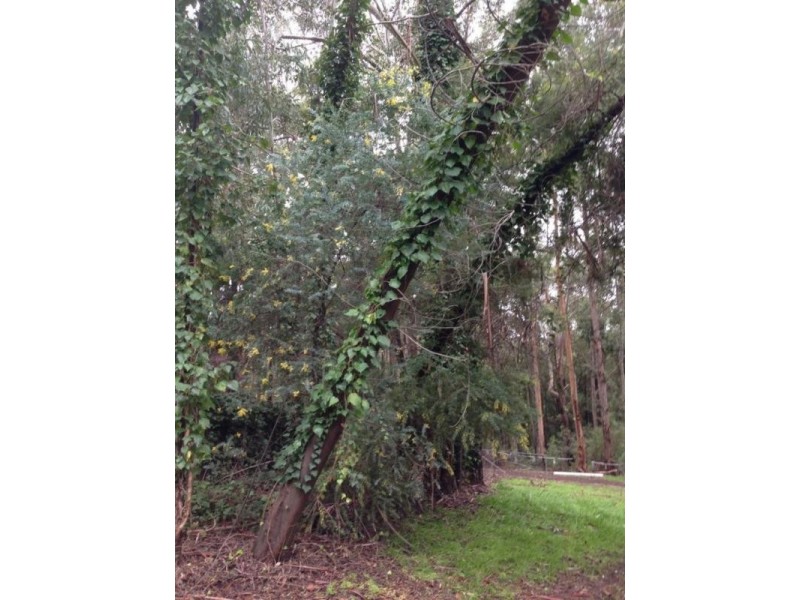 229 Batt Way, Dwellingup WA 6213