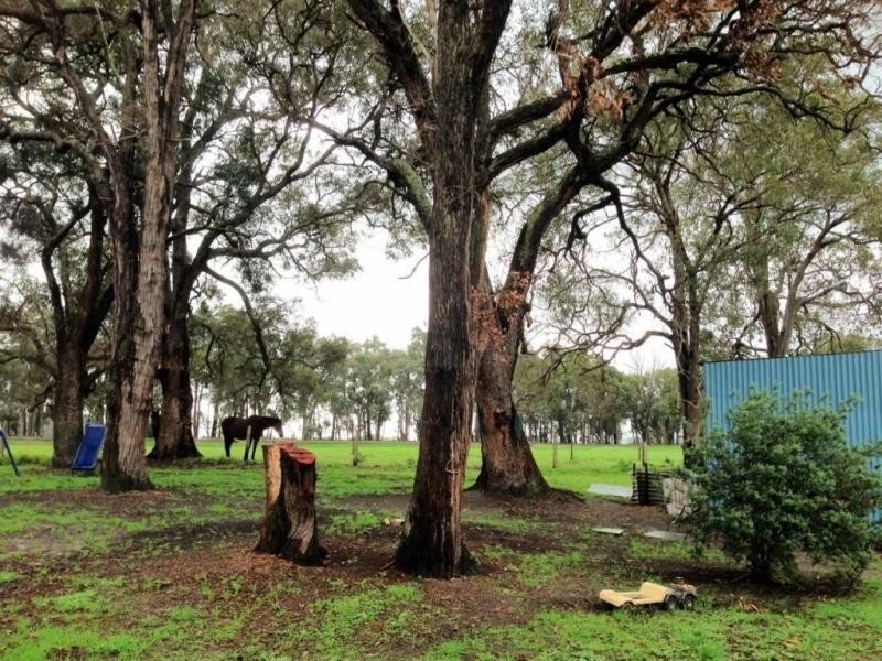 125 Thompson Road, Cookernup WA 6220