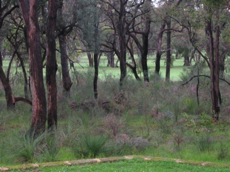 22 Russell Drive, Waroona WA 6215