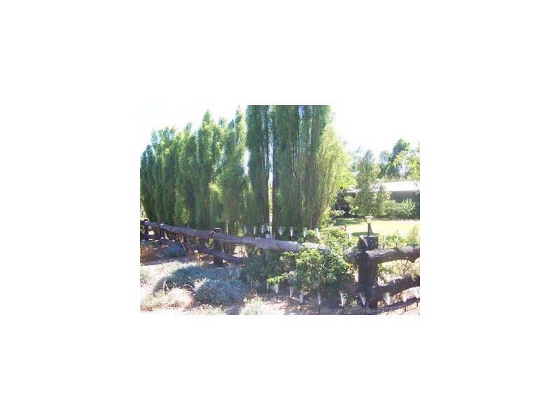 168 DEEBLE, Coolup WA 6214