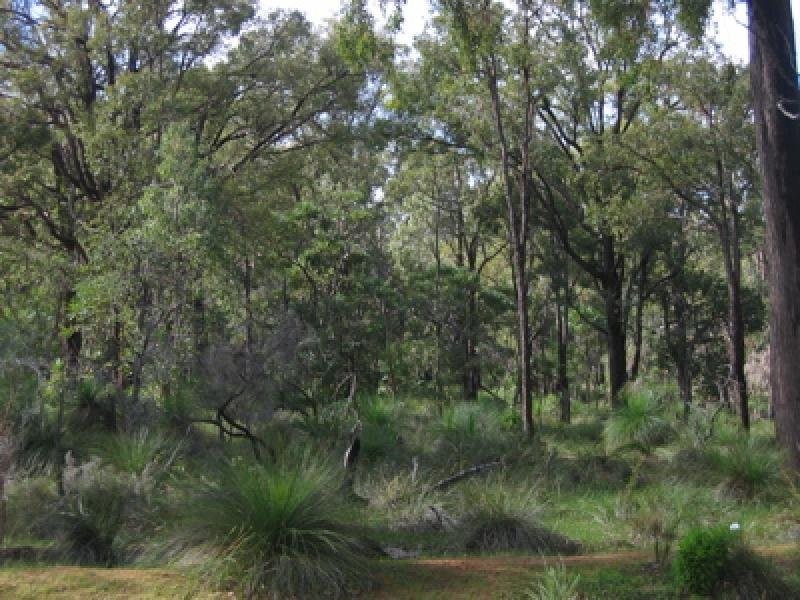 57 LYONS ROAD, Waroona WA 6215