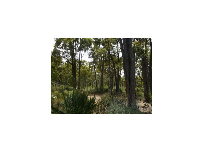 57 LYONS ROAD, Waroona WA 6215