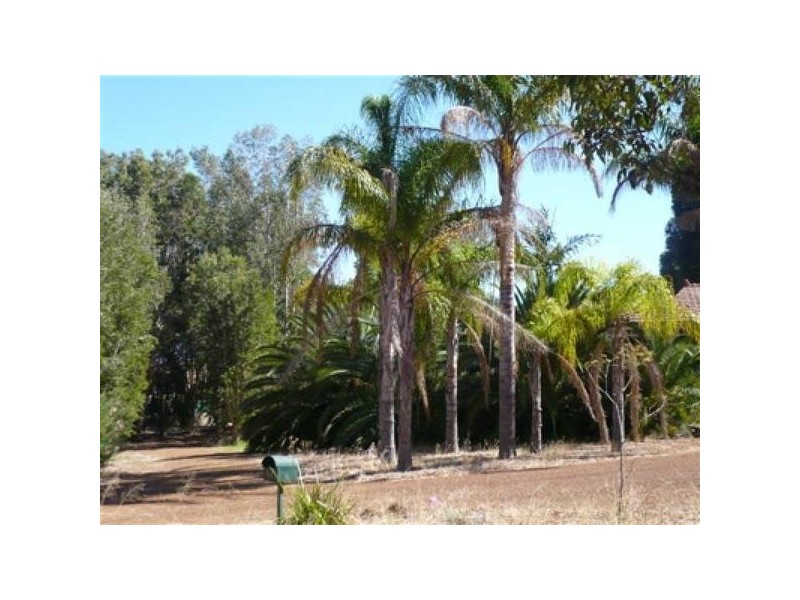 138 CLIFTON STREET, Yarloop WA 6218