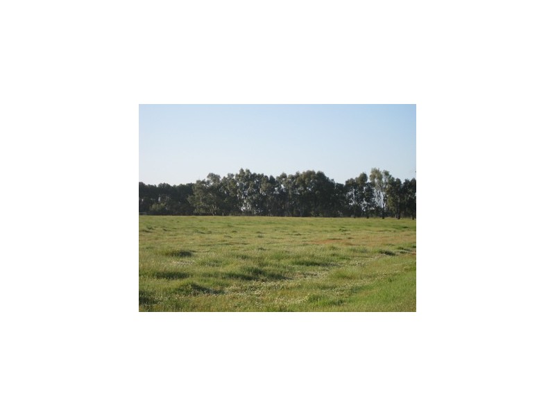 903 Storey Road, Coolup WA 6214
