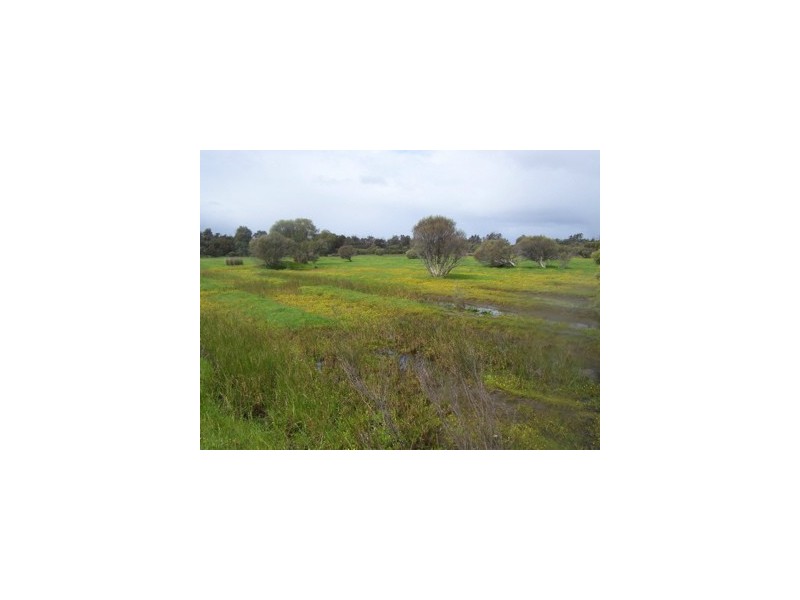 Lot 112 Southern Estuary Road, Lake Clifton WA 6215