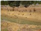 2 Sheridan Place, Waroona WA 6215