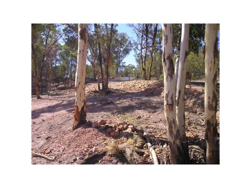 L115 Golden Hills Estate, Boddington WA 6390