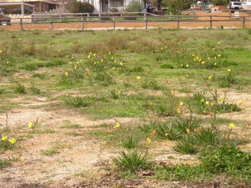 71 Bannister Road, Boddington WA 6390