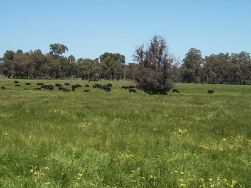 Lot 6 Burnside Road, Meelon WA 6208