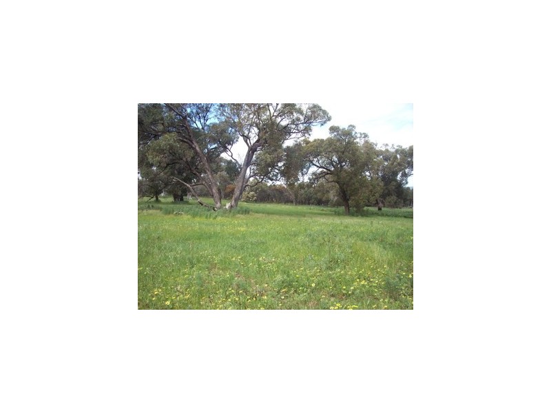 L277 Lake Mealup Road, Point Grey WA 6208