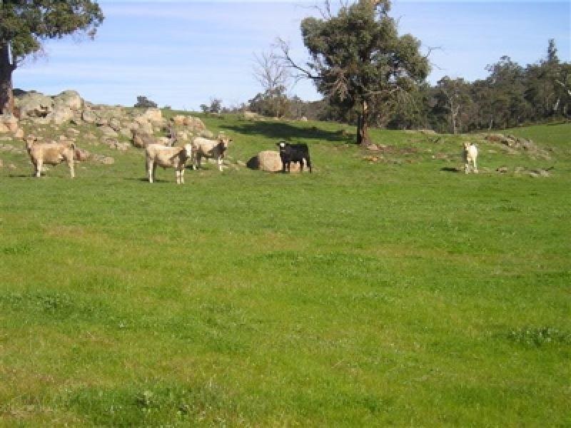 201 Chalk Brook Road, Boddington WA 6390