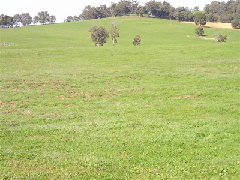 201 Chalk Brook Road, Boddington WA 6390