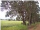 Lot 89 Wades Road/ Southwest Hwy, North Dandalup WA 6207