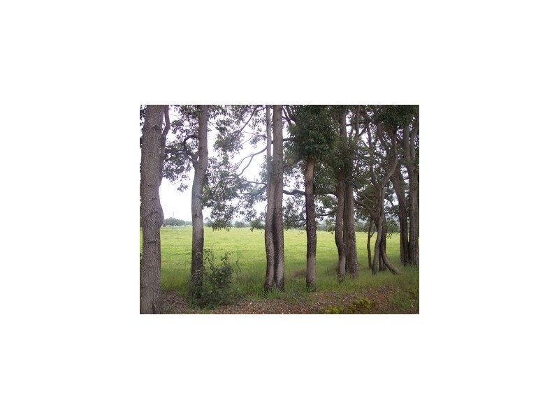 Lot 89 Wades Road/ Southwest Hwy, North Dandalup WA 6207