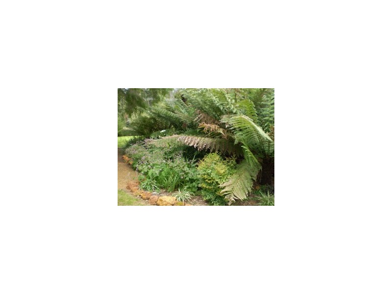 57 Marginata Cres, Dwellingup WA 6213