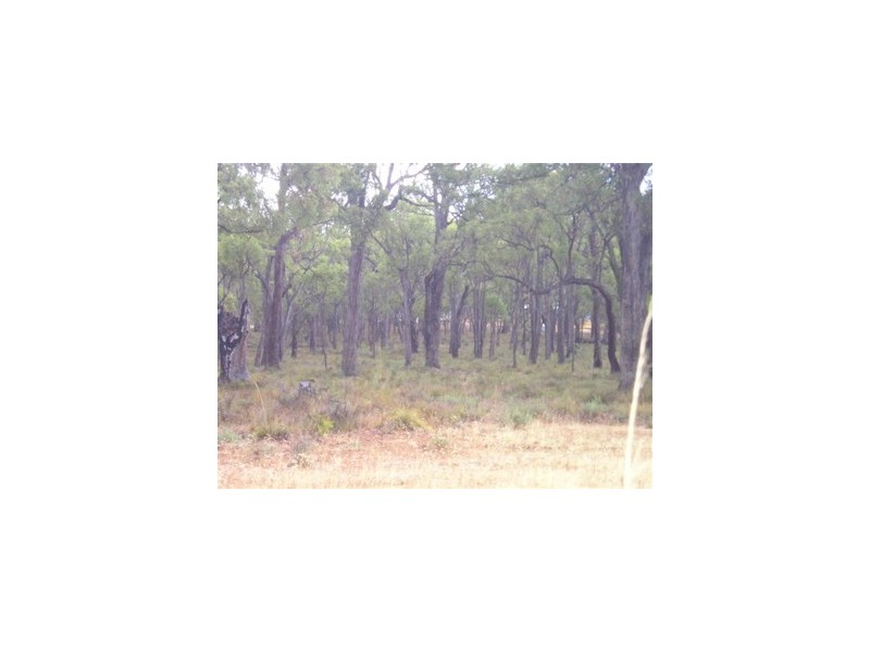 34 Fairway Place, Boddington WA 6390