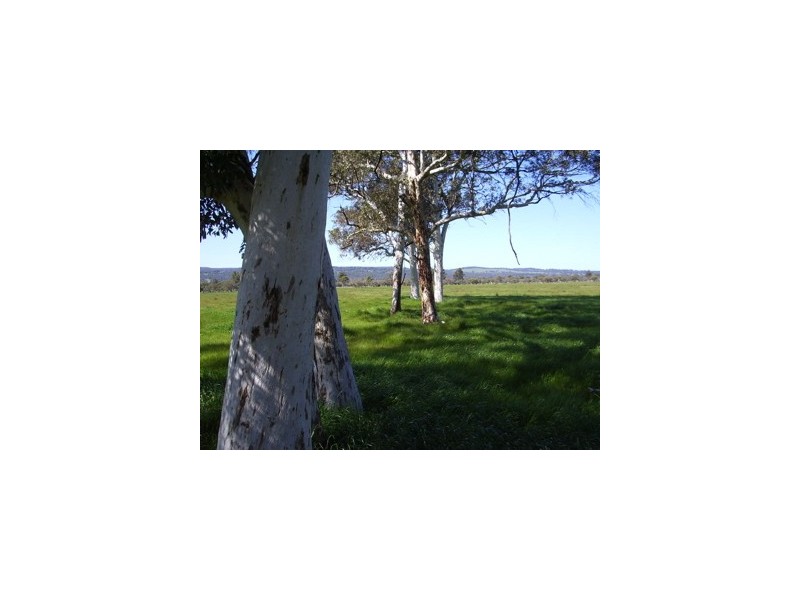 146 Birbeck Road, Harvey WA 6220