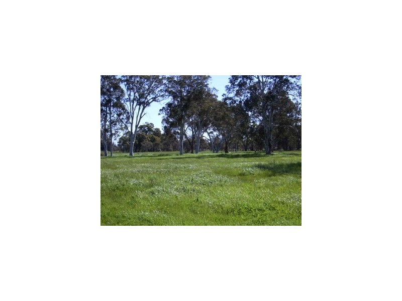 146 Birbeck Road, Harvey WA 6220