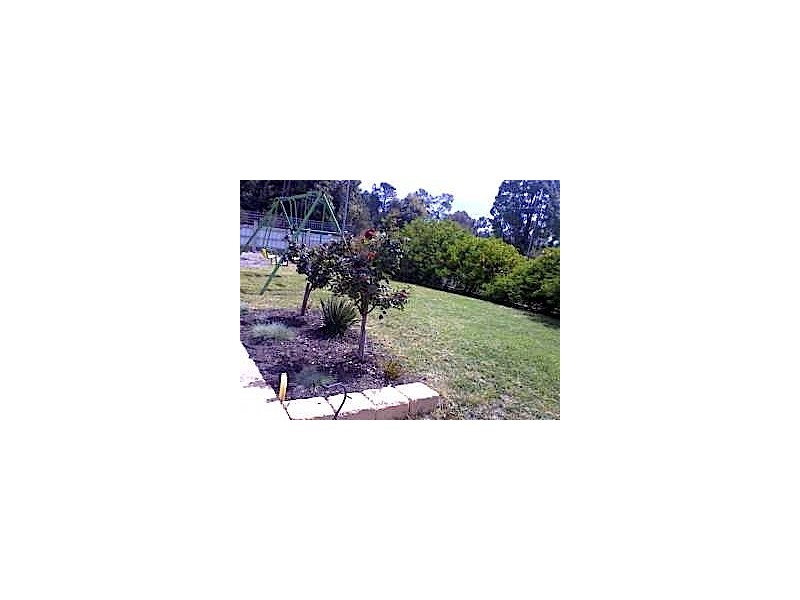 9 Forestview Road, Dwellingup WA 6213