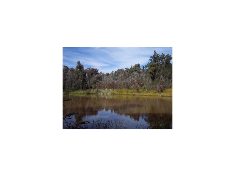 66 Ridgeview Drive, Coolup WA 6214