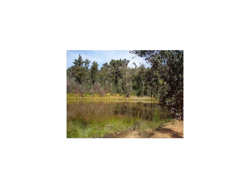 66 Ridgeview Drive, Coolup WA 6214