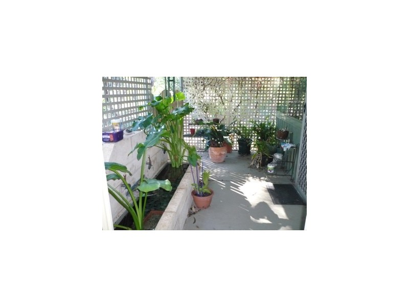 8 Knight Place, Waroona WA 6215