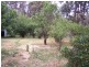 965 Batt Way, Dwellingup WA 6213