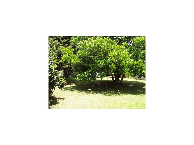 8 Jubilee, Pinjarra WA 6208